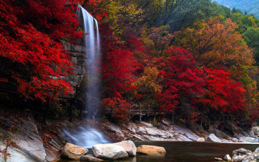 1754920 (a): :1920x1200